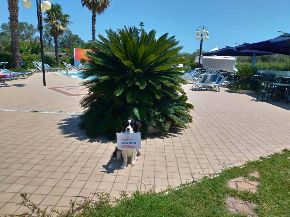 Hotel Marina روزيتو ديلي أبروتسي المظهر الخارجي الصورة
